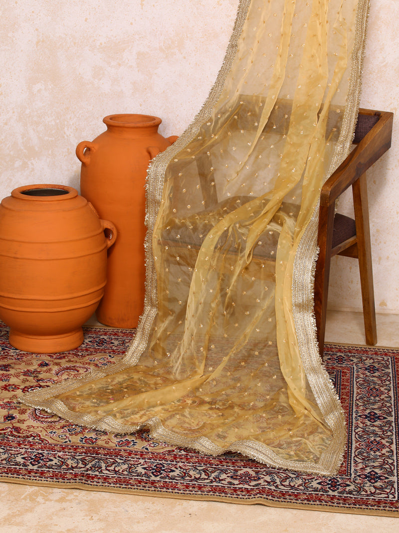 Mehreen x Tyohaar | Red Foil Chandheri FlareFit™ Lehenga Set with Dupatta-Binks