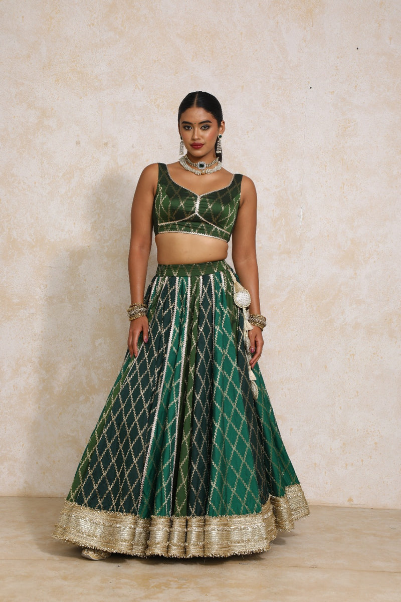 Parizad x Tyohaar | Green Vine Mesh Brocade FlareFit™ Lehenga Set with Dupatta-Binks