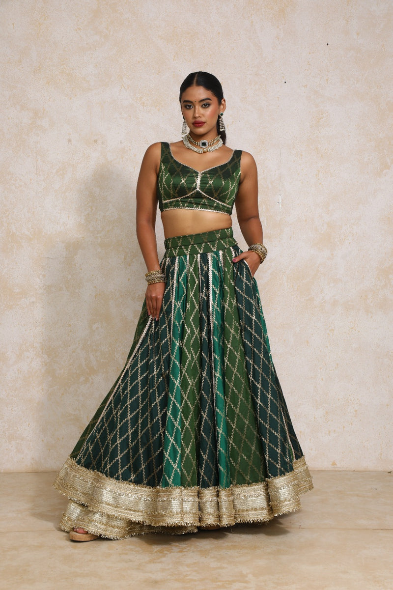 Parizad x Tyohaar | Green Vine Mesh Brocade FlareFit™ Lehenga Set with Dupatta-Binks