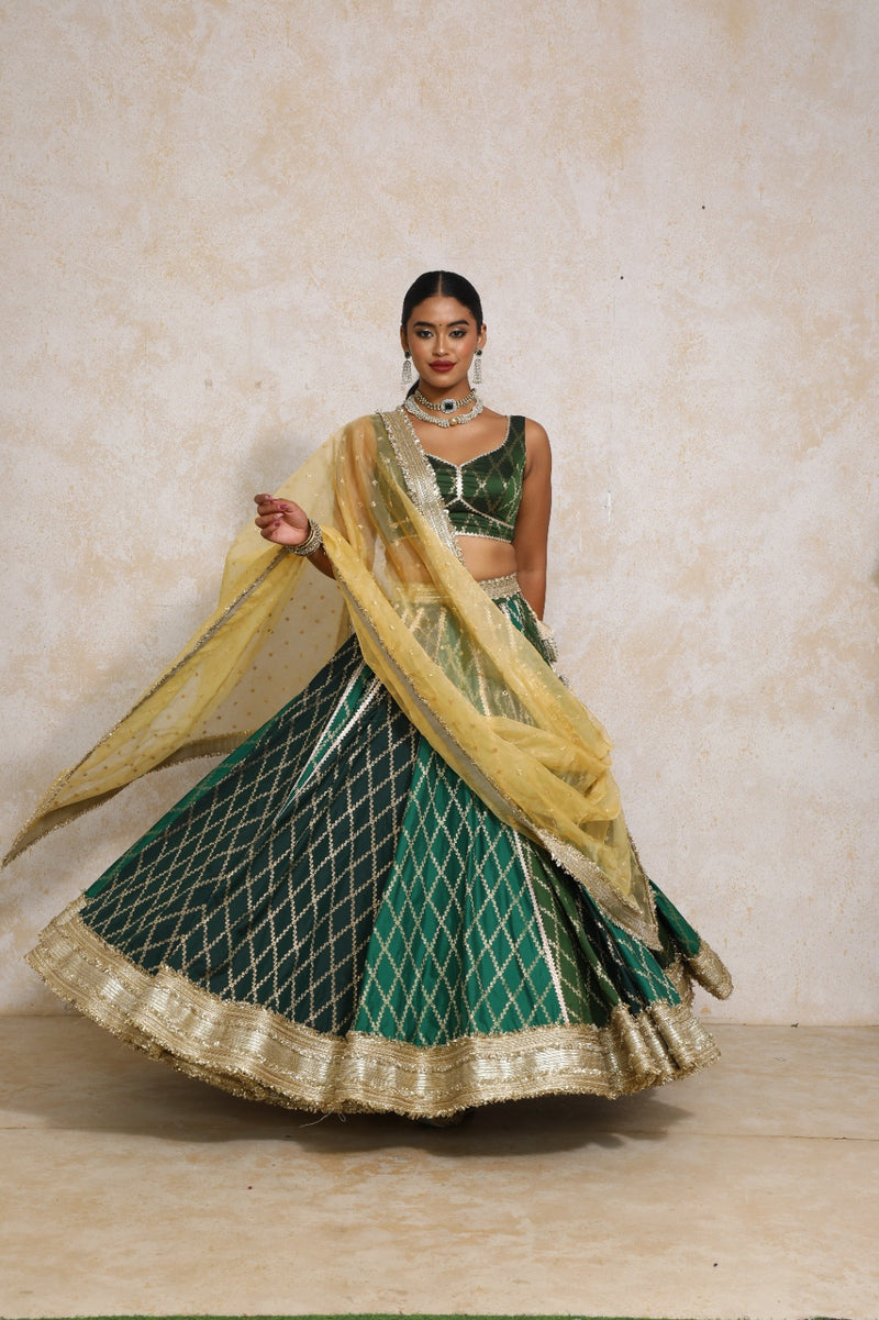 Parizad x Tyohaar | Green Vine Mesh Brocade FlareFit™ Lehenga Set with Dupatta-Binks