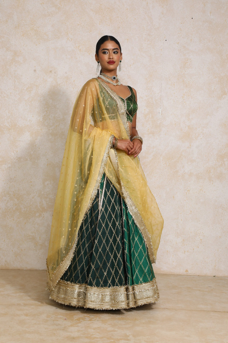 Parizad x Tyohaar | Green Vine Mesh Brocade FlareFit™ Lehenga Set with Dupatta-Binks