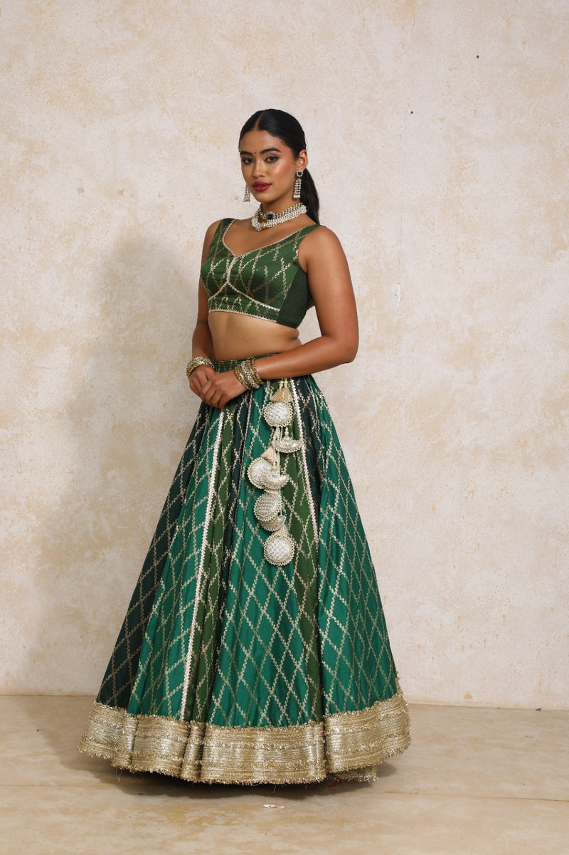Parizad x Tyohaar | Green Vine Mesh Brocade FlareFit™ Lehenga Set with Dupatta-Binks