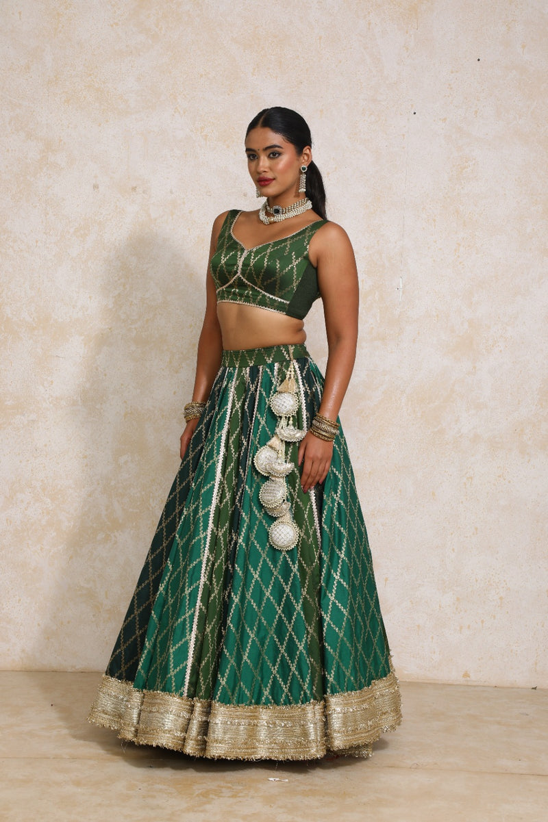 Parizad x Tyohaar | Green Vine Mesh Brocade FlareFit™ Lehenga Set with Dupatta-Binks