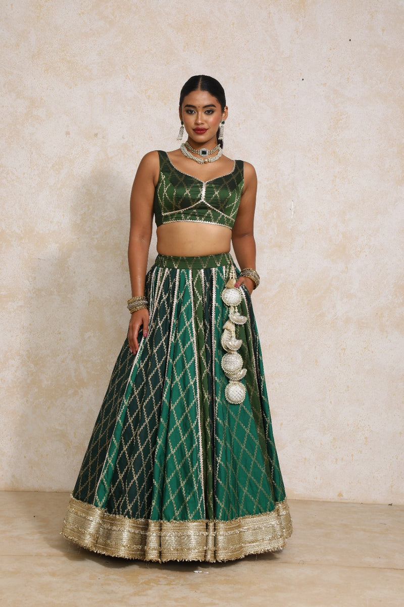 Parizad x Tyohaar | Green Vine Mesh Brocade FlareFit™ Lehenga Set with Dupatta-Binks