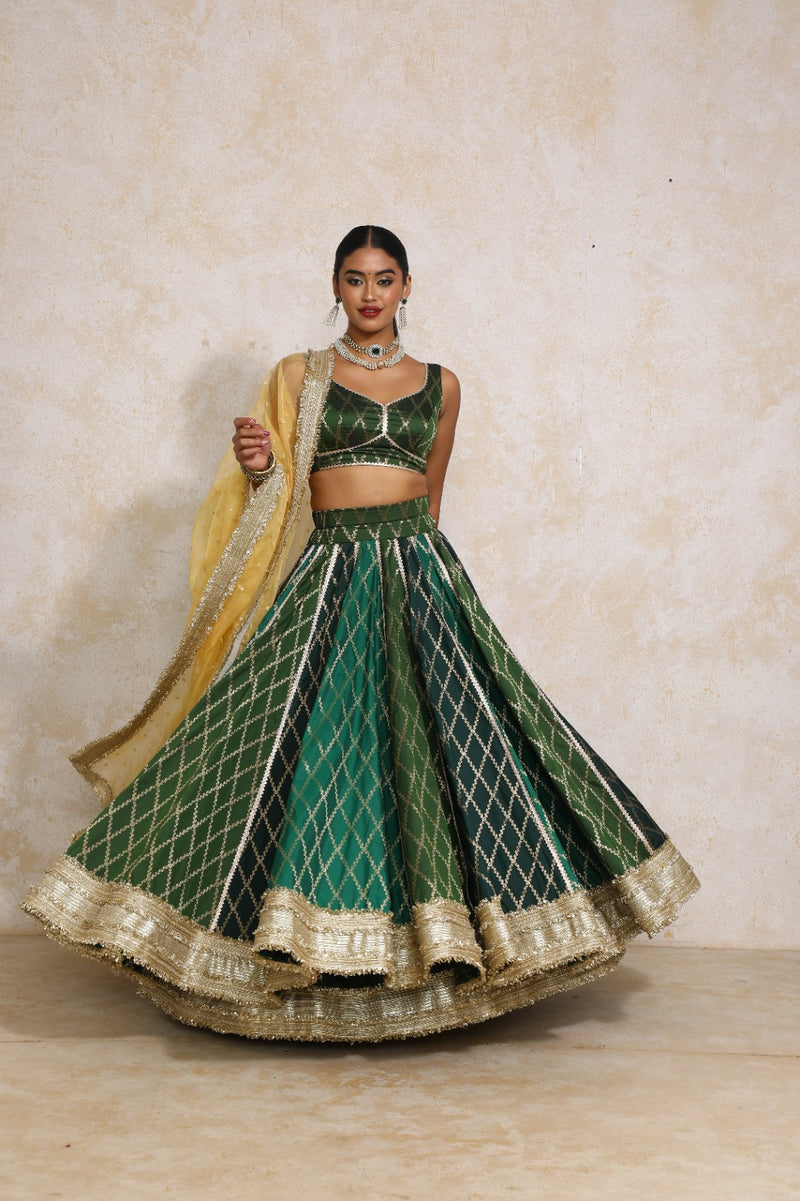 Parizad x Tyohaar | Green Vine Mesh Brocade FlareFit™ Lehenga Set with Dupatta-Binks