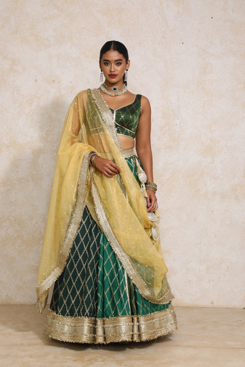 Parizad x Tyohaar | Green Vine Mesh Brocade FlareFit™ Lehenga Set with Dupatta-Binks