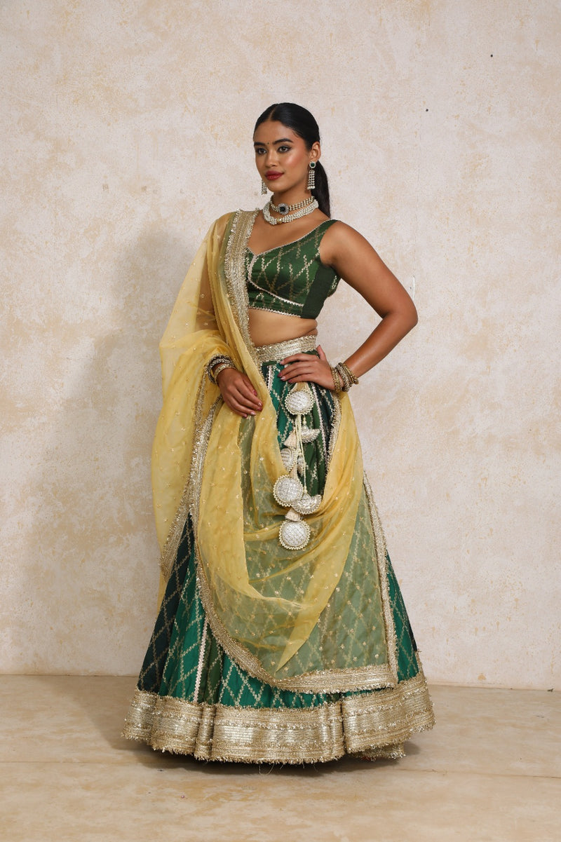 Parizad x Tyohaar | Green Vine Mesh Brocade FlareFit™ Lehenga Set with Dupatta-Binks