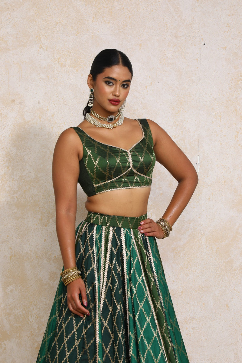 Parizad x Tyohaar | Green Vine Mesh Brocade FlareFit™ Lehenga Set with Dupatta-Binks