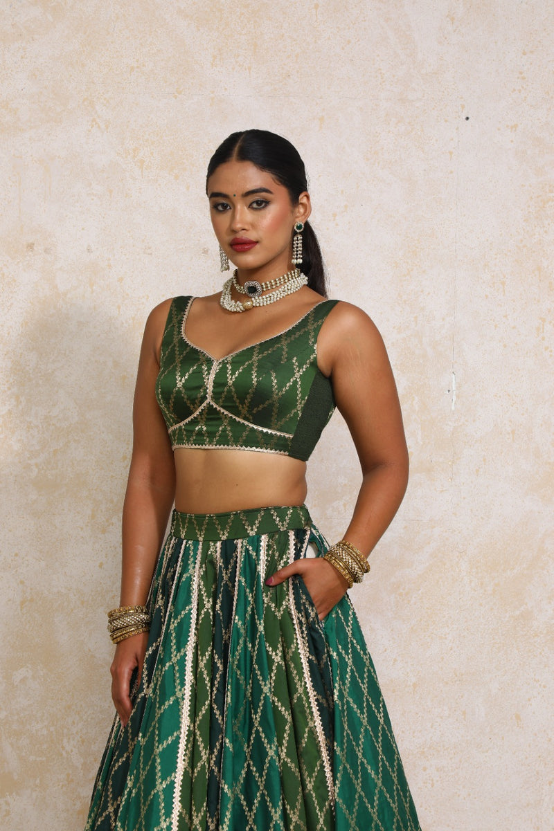 Parizad x Tyohaar | Green Vine Mesh Brocade FlareFit™ Lehenga Set with Dupatta-Binks