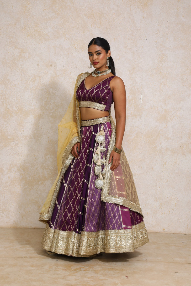 Raahi x Tyohaar | Purple Vine Mesh Brocade FlareFit™ Lehenga Set with Dupatta-Binks