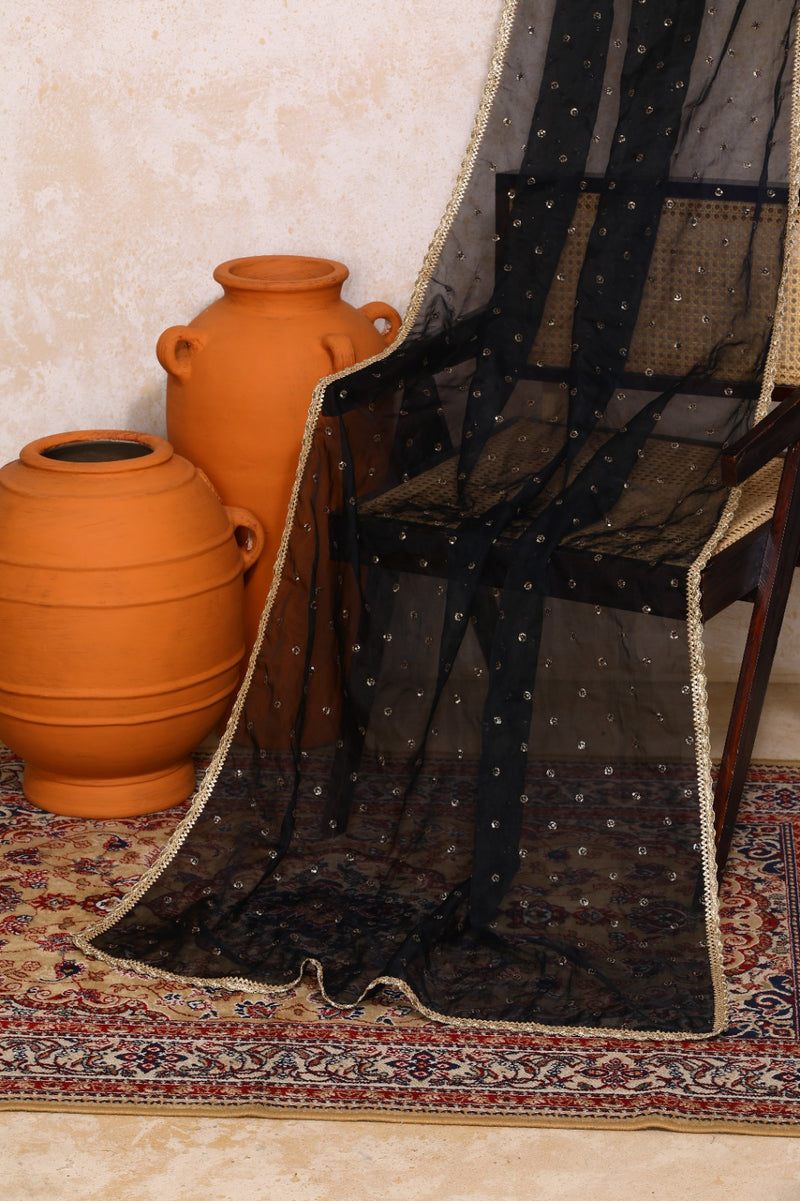 Radha x Tyohaar | Maroon & Black Vine Mesh Brocade FlareFit™ Lehenga Set with Dupatta-Binks