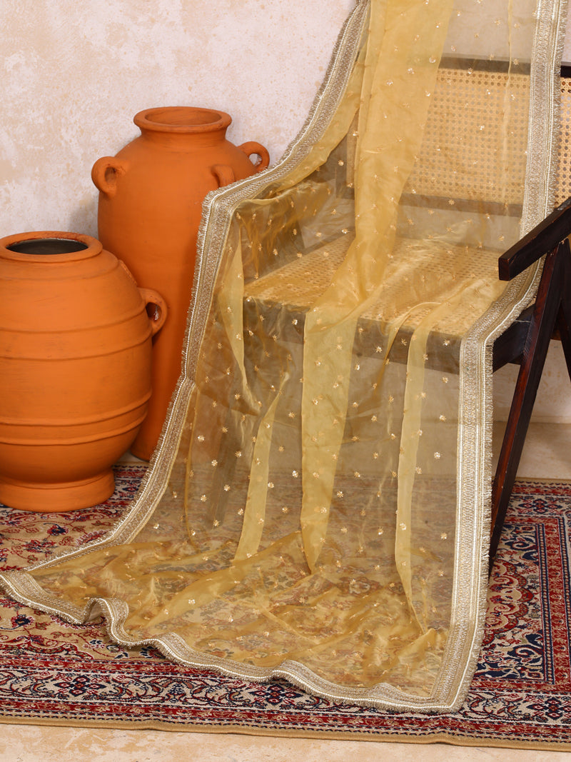 Ruhani x Tyohaar | Marsala Gold Tissue FlareFit™ Lehenga Set with Dupatta-Binks