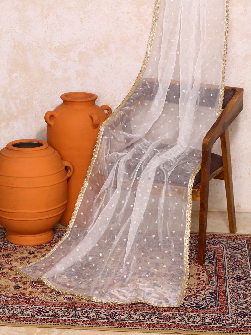 Ruksar x Tyohaar | Maroon & Black Vine Mesh Brocade FlareFit™ Lehenga Set with Dupatta-Binks