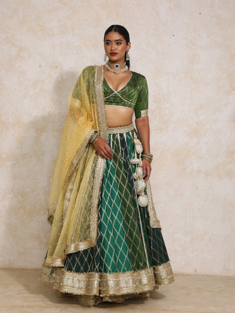 Sahiba x Tyohaar | Green Vine Mesh Brocade FlareFit™ Lehenga Set with Dupatta-Binks