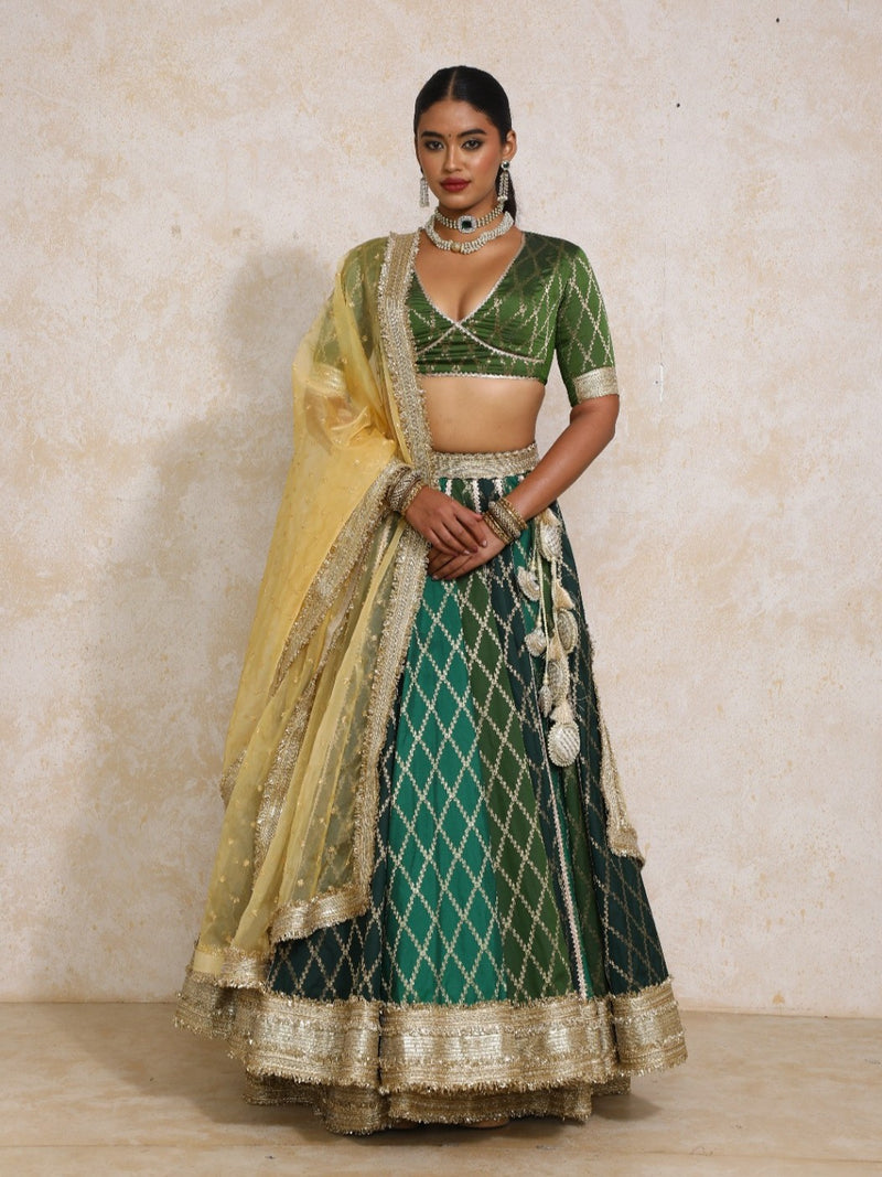 Sahiba x Tyohaar | Green Vine Mesh Brocade FlareFit™ Lehenga Set with Dupatta-Binks