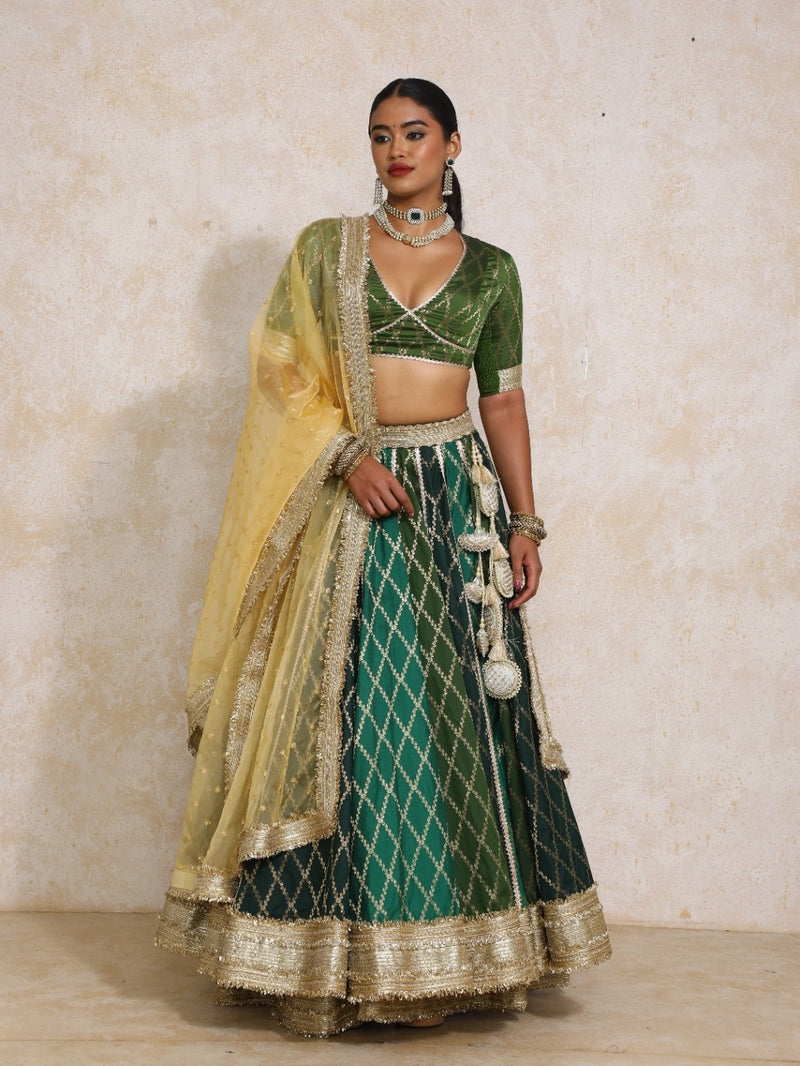 Sahiba x Tyohaar | Green Vine Mesh Brocade FlareFit™ Lehenga Set with Dupatta-Binks