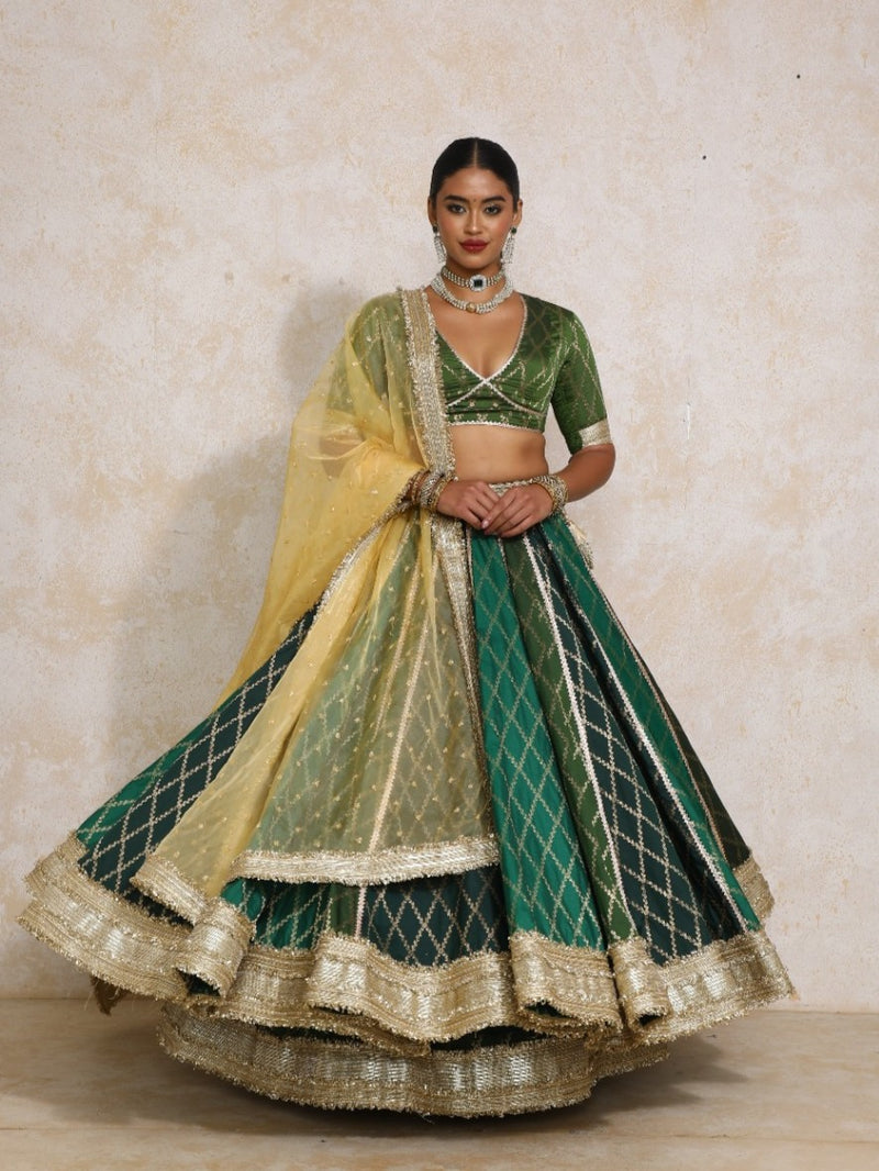Sahiba x Tyohaar | Green Vine Mesh Brocade FlareFit™ Lehenga Set with Dupatta-Binks
