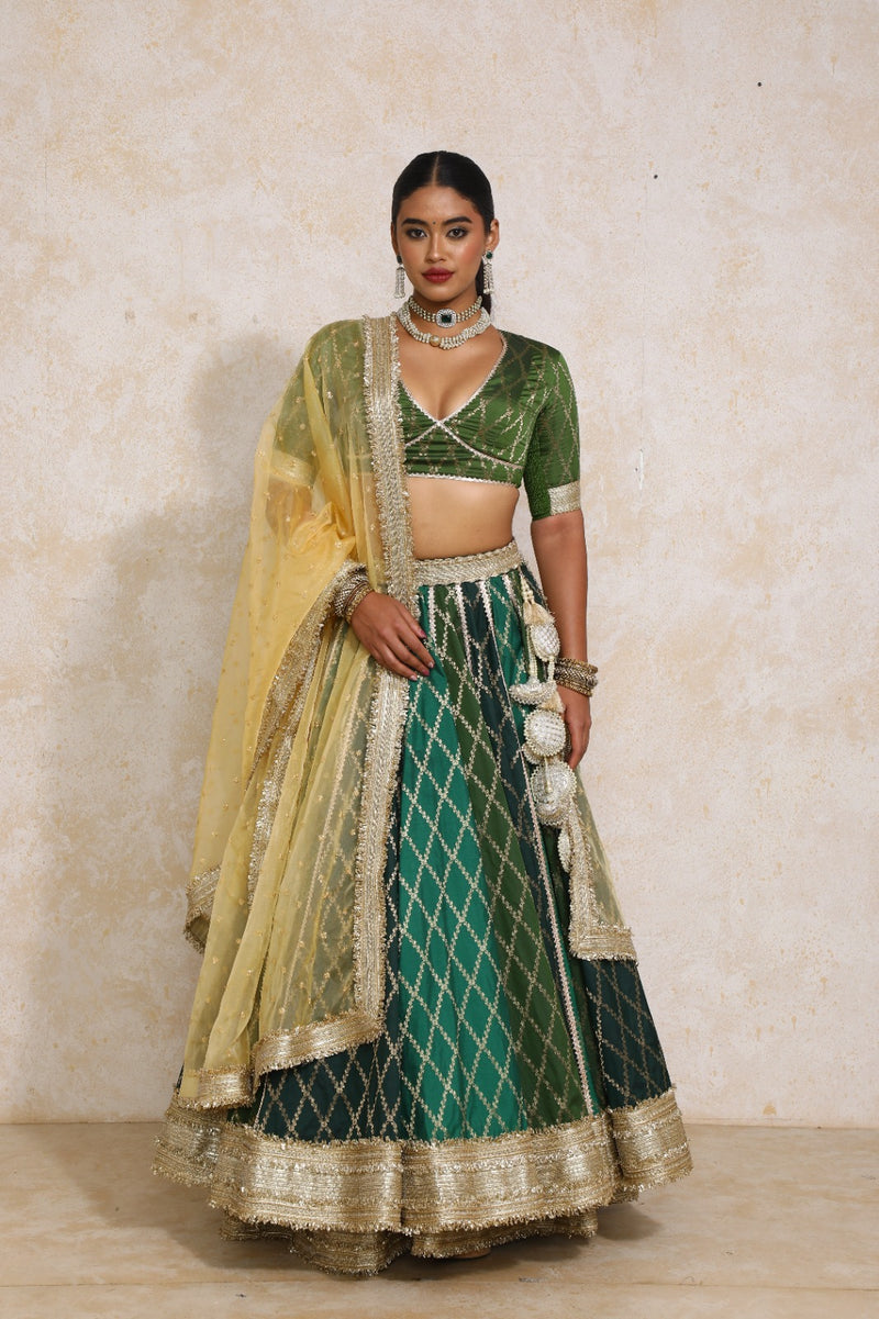 Sahiba x Tyohaar | Green Vine Mesh Brocade FlareFit™ Lehenga Set with Dupatta-Binks