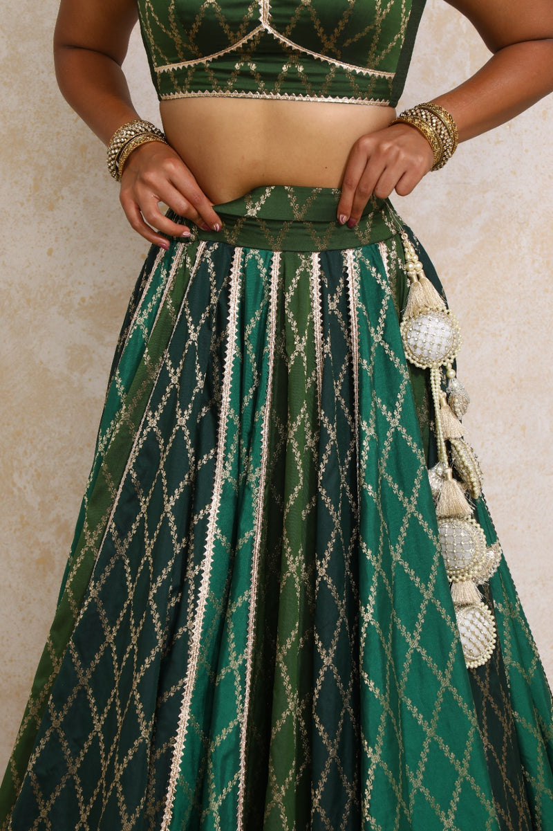 Parizad x Tyohaar | Green Vine Mesh Brocade FlareFit™ Lehenga Set with Dupatta-Binks