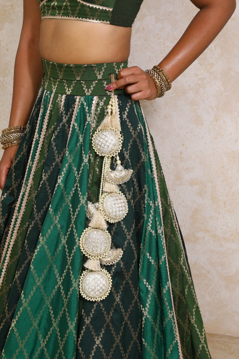 Parizad x Tyohaar | Green Vine Mesh Brocade FlareFit™ Lehenga Set with Dupatta-Binks