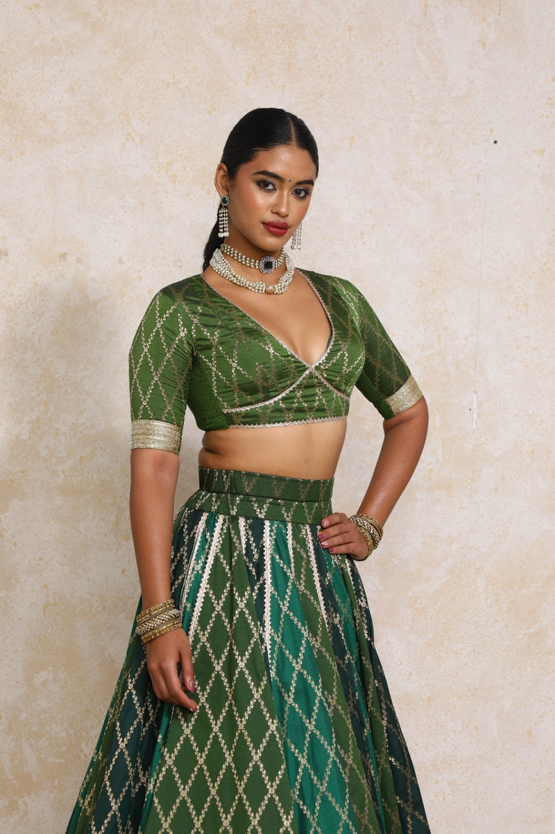 Sahiba x Tyohaar | Green Vine Mesh Brocade FlareFit™ Lehenga Set with Dupatta-Binks