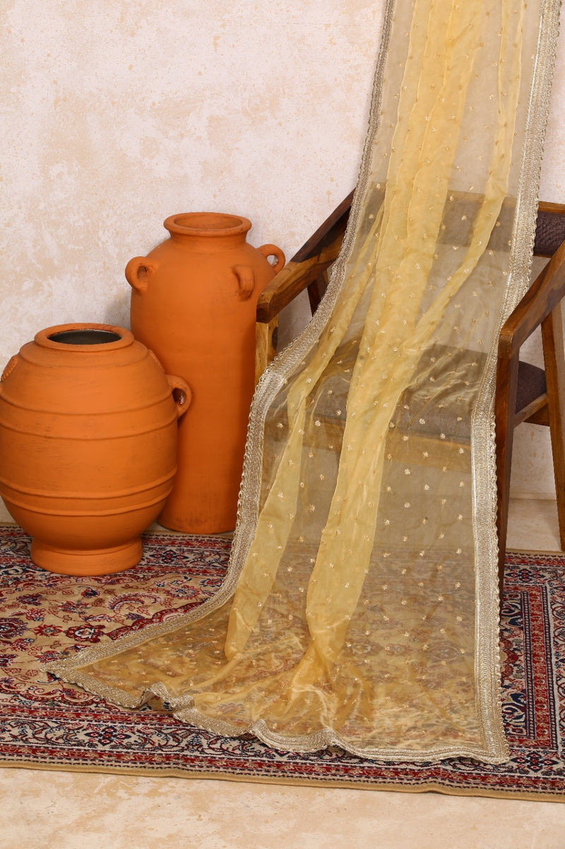 Shama x Tyohaar | Red & Purple Foil Chandheri & Meenakari FlareFit™ Lehenga Set with Dupatta-Binks