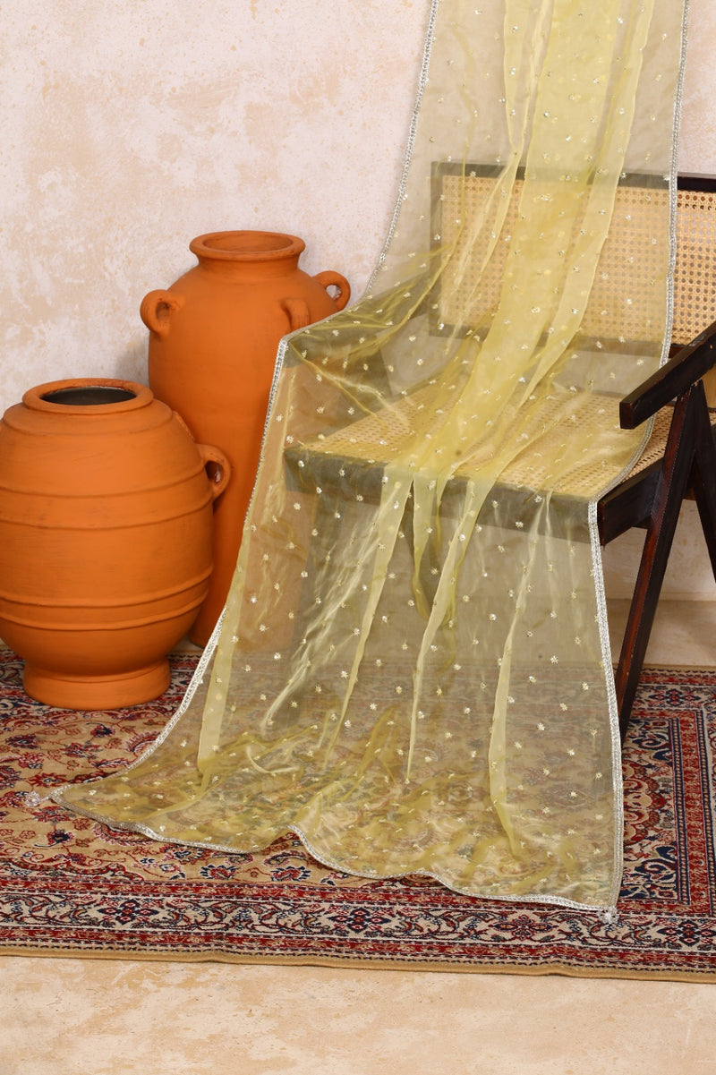 Kimaya x Tyohaar | Turmeric Yellow Silver Stripe Cotton FlareFit™ Lehenga Set with Dupatta-Binks