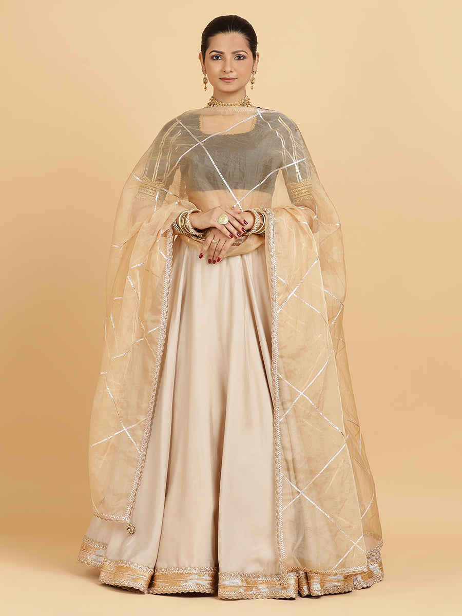 The Zainab Aziza Sunheri Lehenga Set Silhouette
