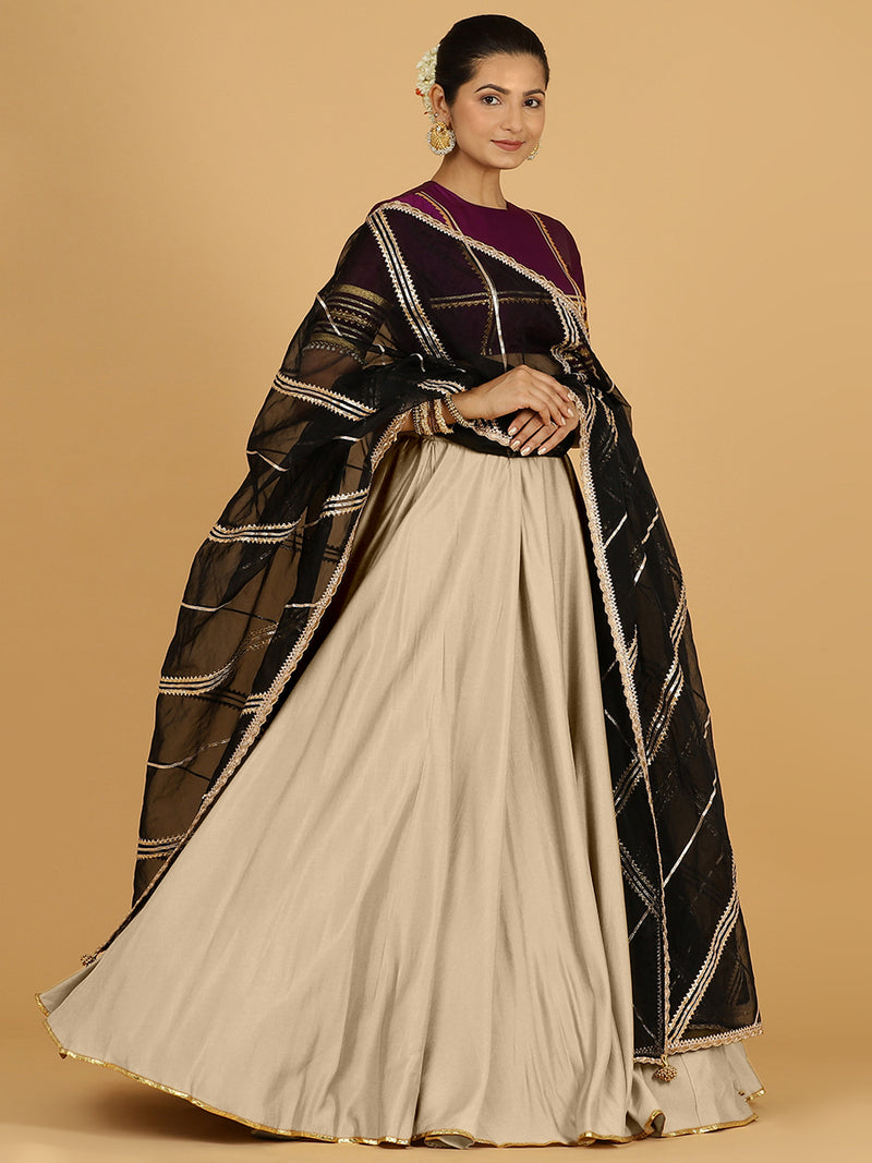 Jhalak x Tyohaar | Oyster Grey Panelled Lehenga Skirt-Binks