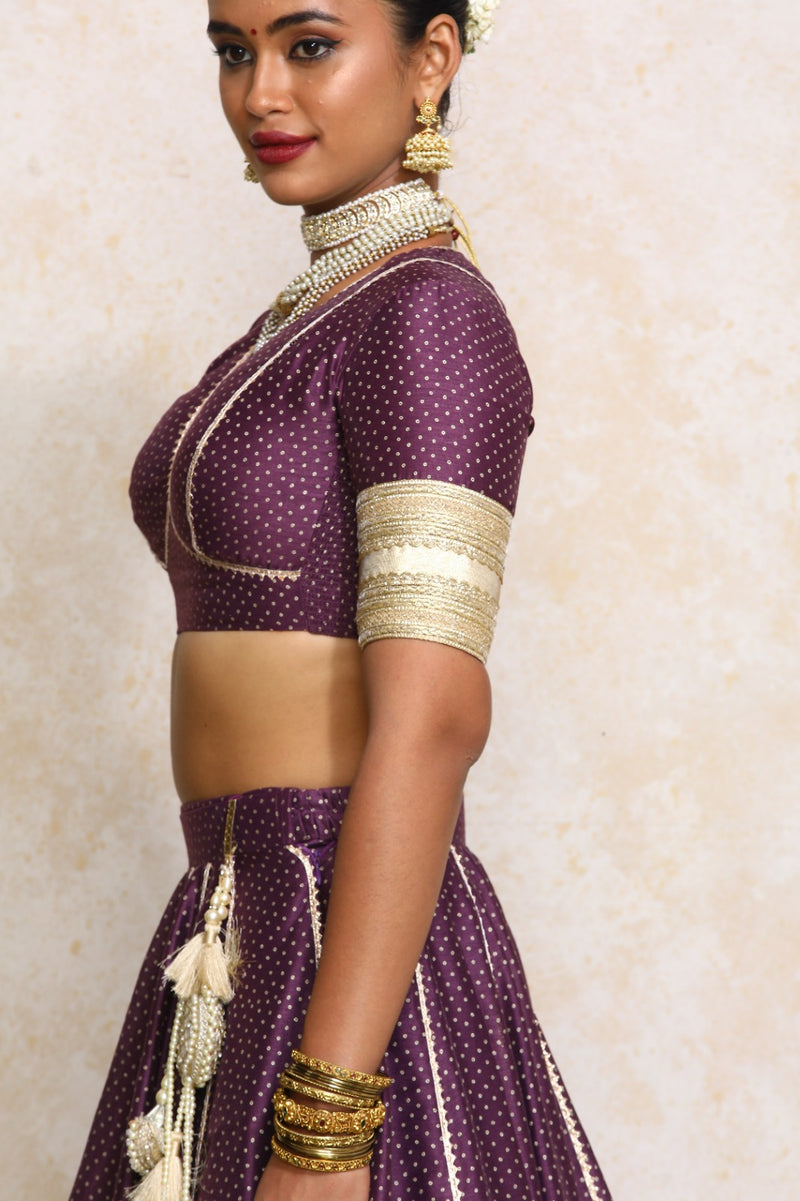 Elira x Tyohaar | Elbow Sleeves Purple Foil Chandheri Saree Blouse-Binks