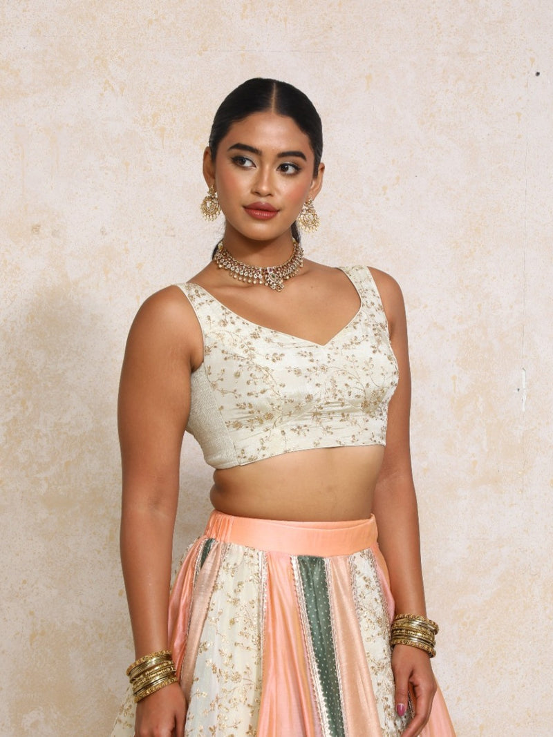Nerina x Tyohaar | Sleeveless Cream Embroidered Tissue Saree Blouse-Binks
