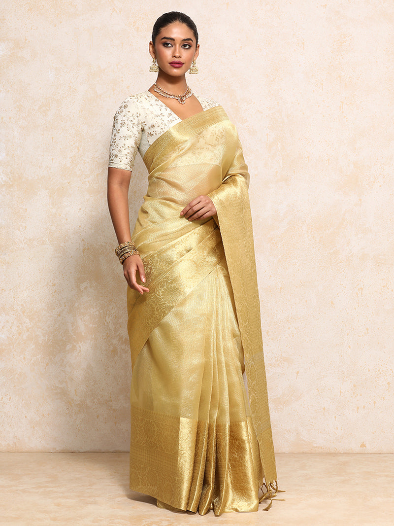 Golden Tissue Saree With Woven Dahlia Motif Border-Binks