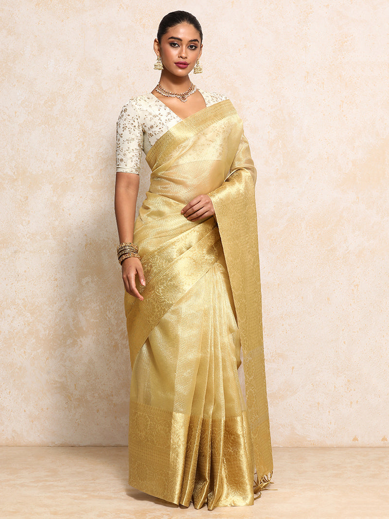 Golden Tissue Saree With Woven Dahlia Motif Border-Binks