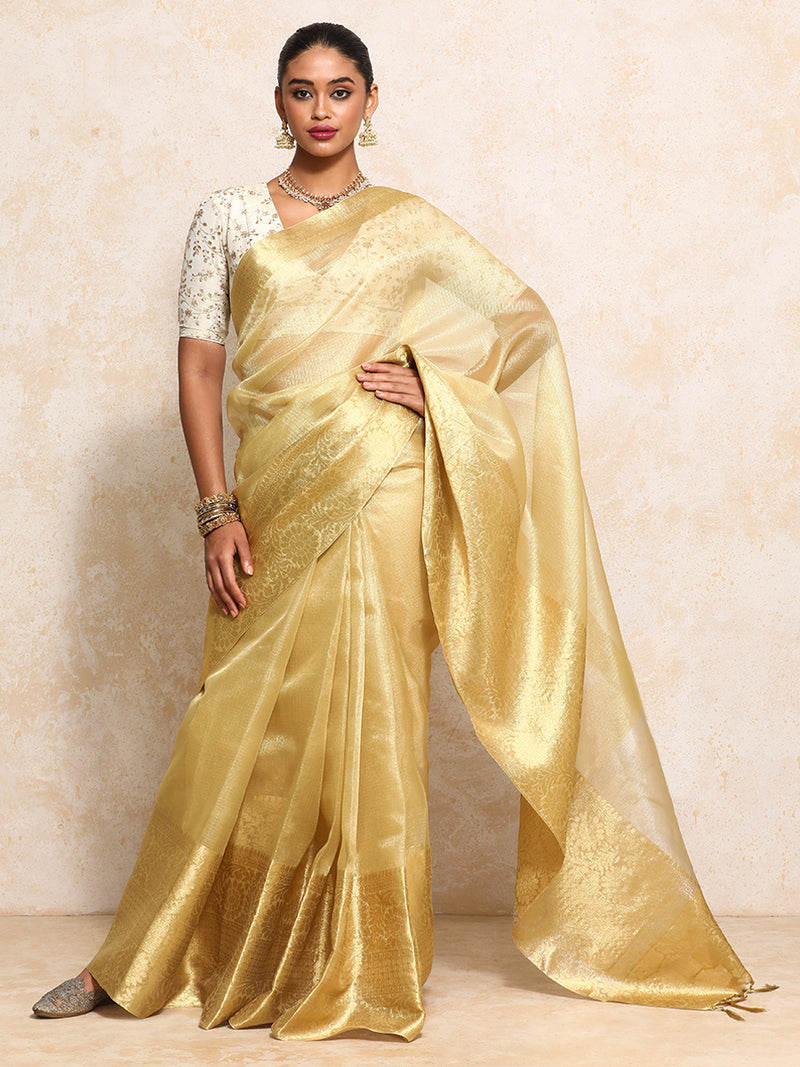 Golden Tissue Saree With Woven Dahlia Motif Border-Binks