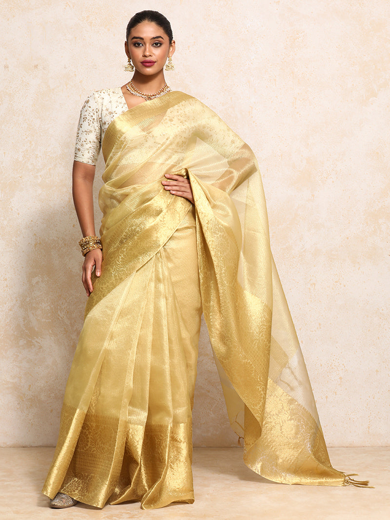 Golden Tissue Saree With Woven Dahlia Motif Border-Binks