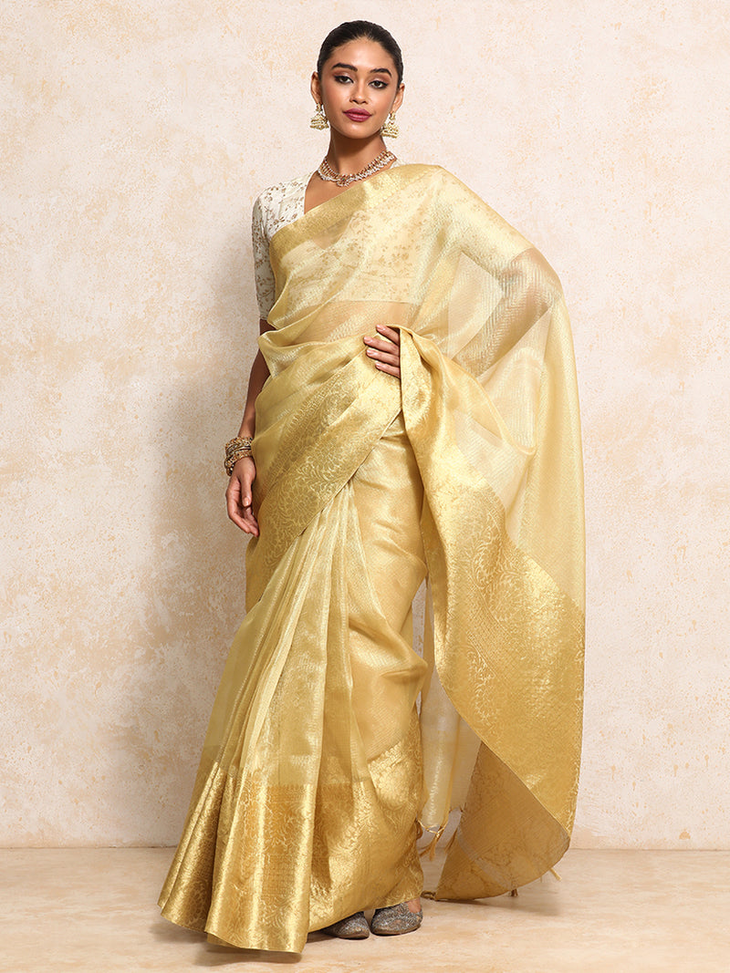 Golden Tissue Saree With Woven Dahlia Motif Border-Binks