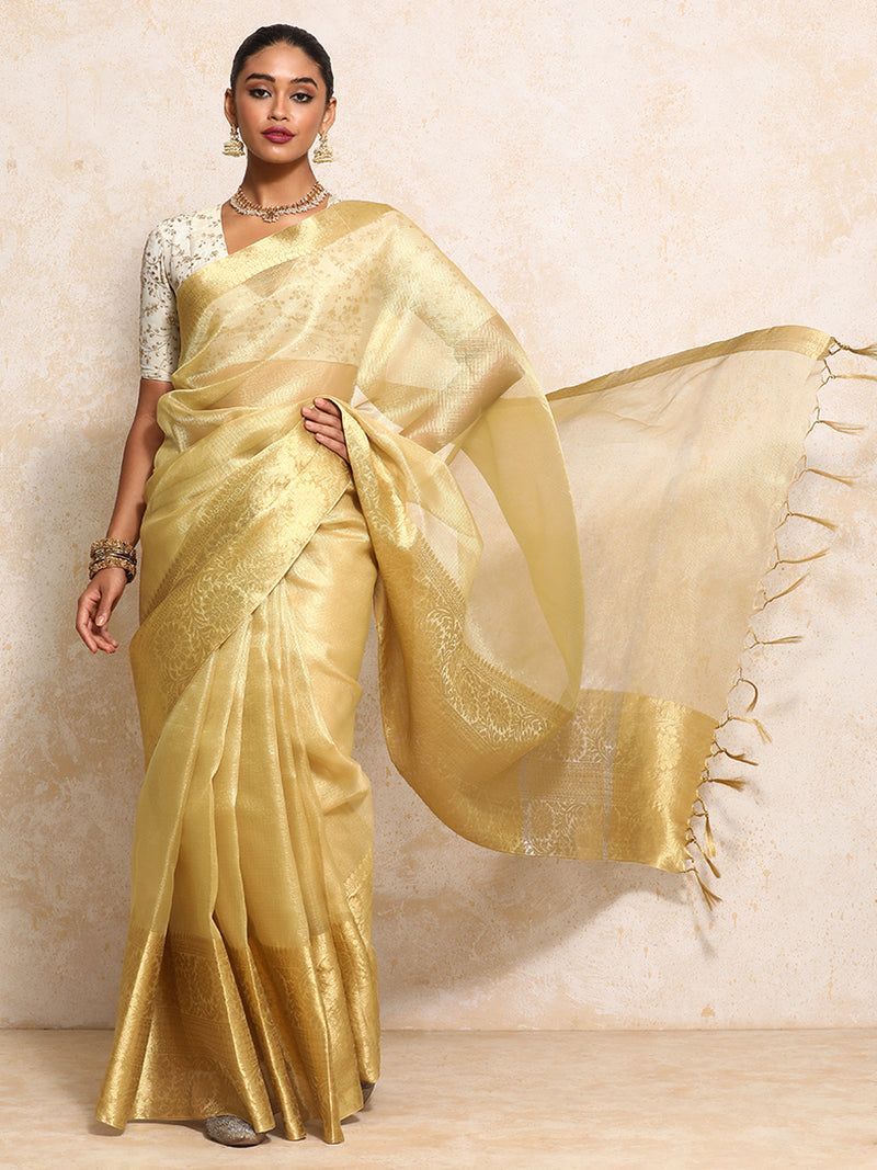Golden Tissue Saree With Woven Dahlia Motif Border-Binks