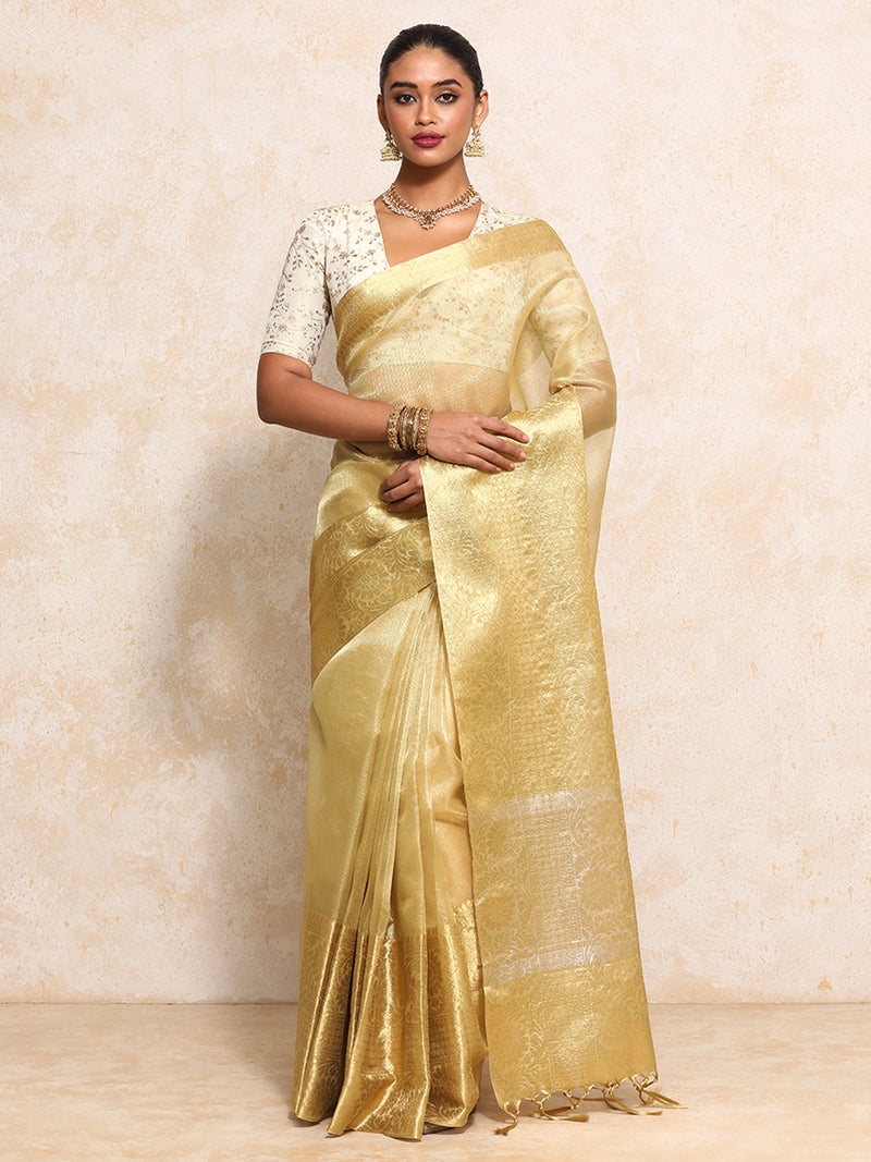 Golden Tissue Saree With Woven Dahlia Motif Border-Binks