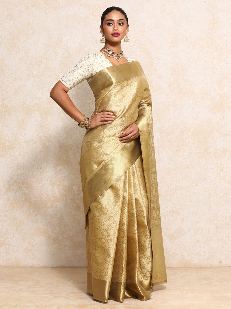 Golden Tissue Saree With Floral Jaal and Sleek Zari Border-Binks