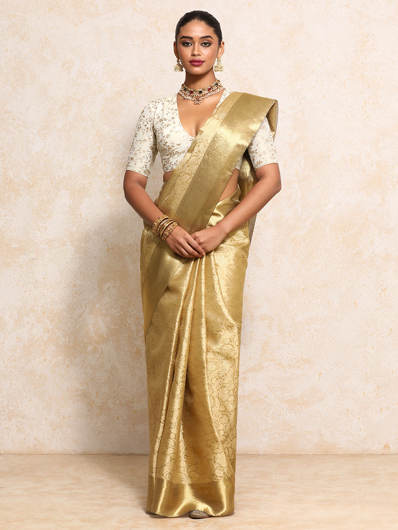 Golden Tissue Saree With Floral Jaal and Sleek Zari Border-Binks