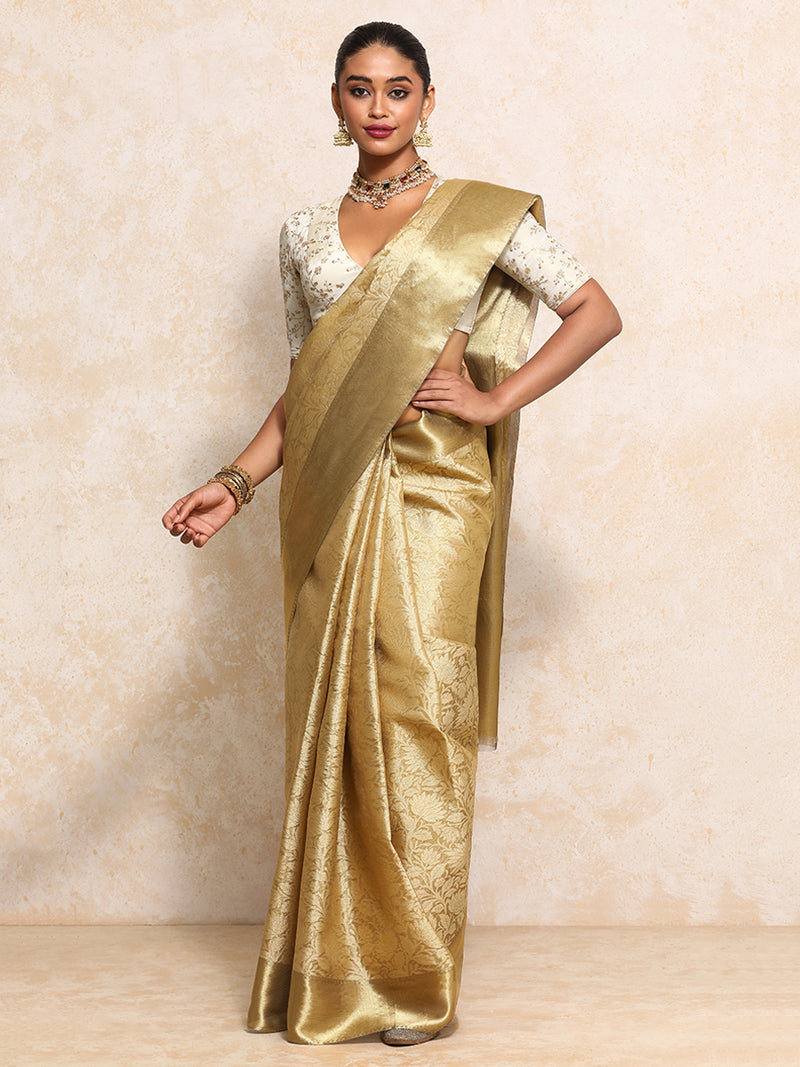 Golden Tissue Saree With Floral Jaal and Sleek Zari Border-Binks