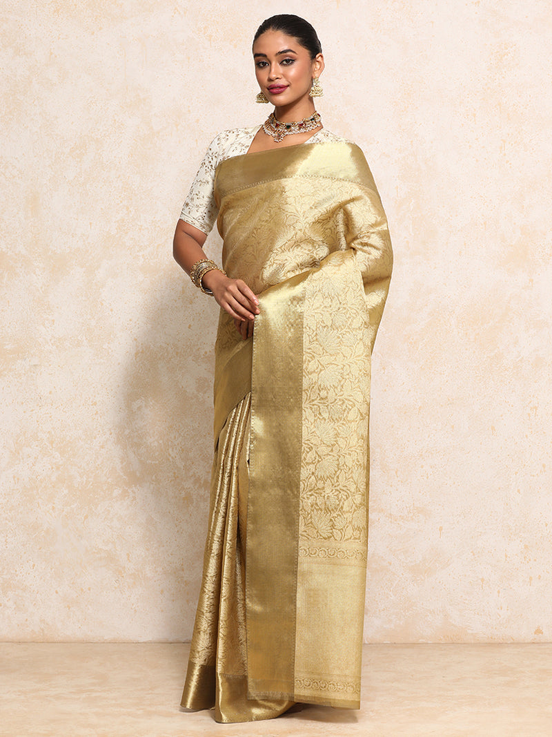 Golden Tissue Saree With Floral Jaal and Sleek Zari Border-Binks