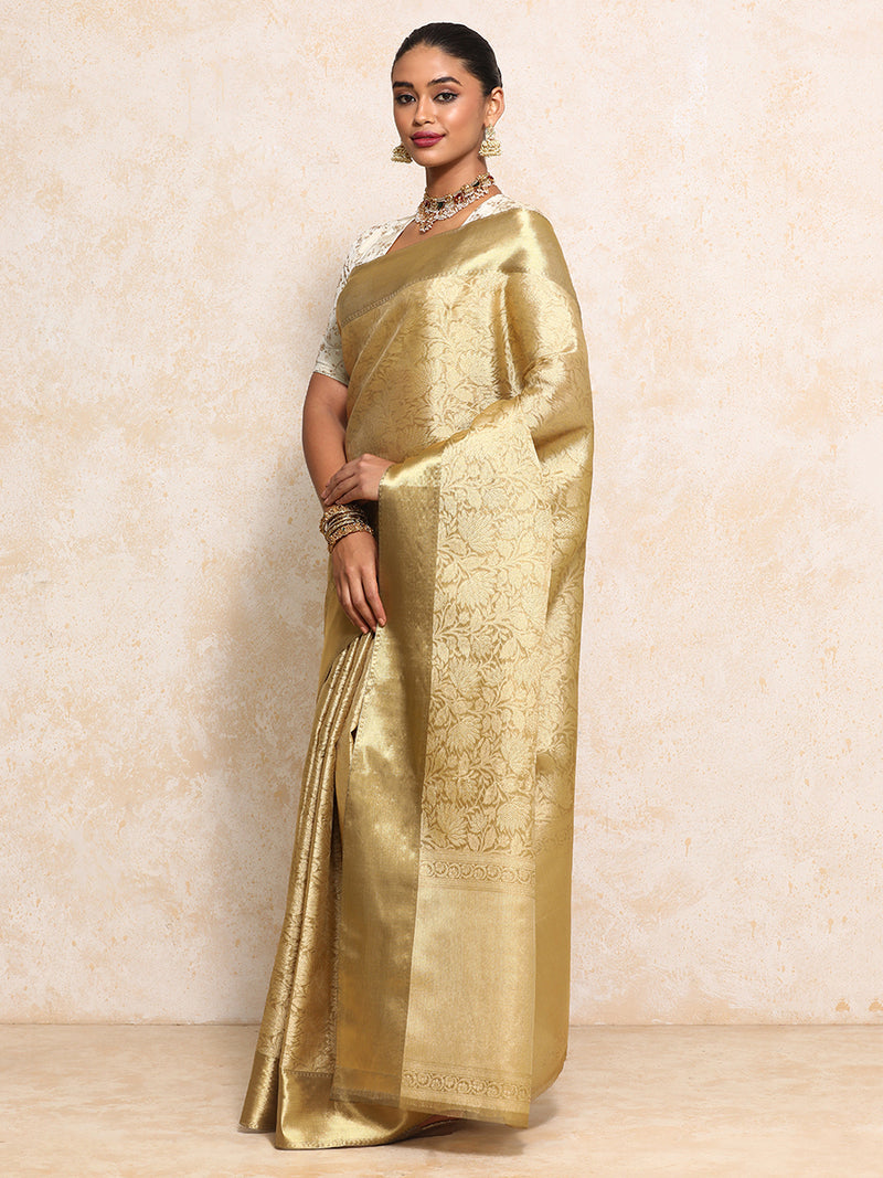 Golden Tissue Saree With Floral Jaal and Sleek Zari Border-Binks