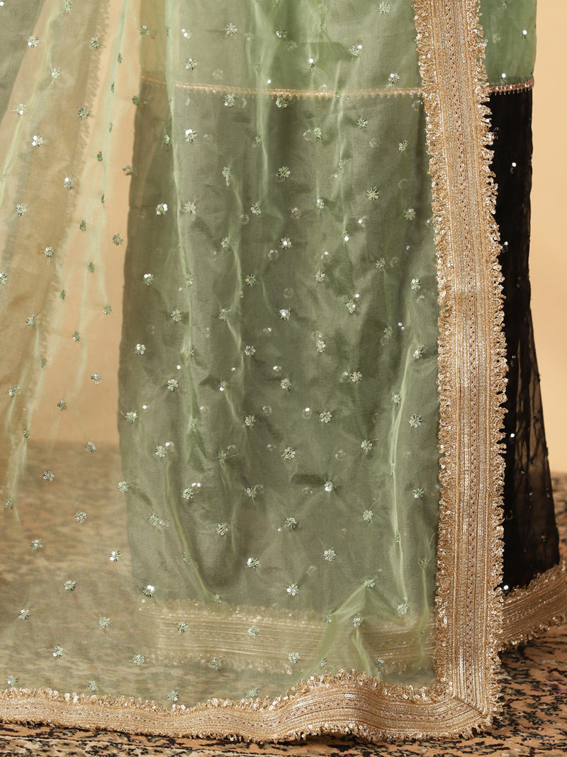 Mint Green & Black Organza Sequin Butta Saree With Designer Embroidered Lace-Binks