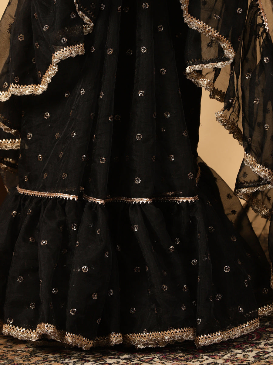 Black Organza Sequin Butta Ruffle Saree With Designer Lace, in Black Sequin Organza, made for party & festive (view 4).