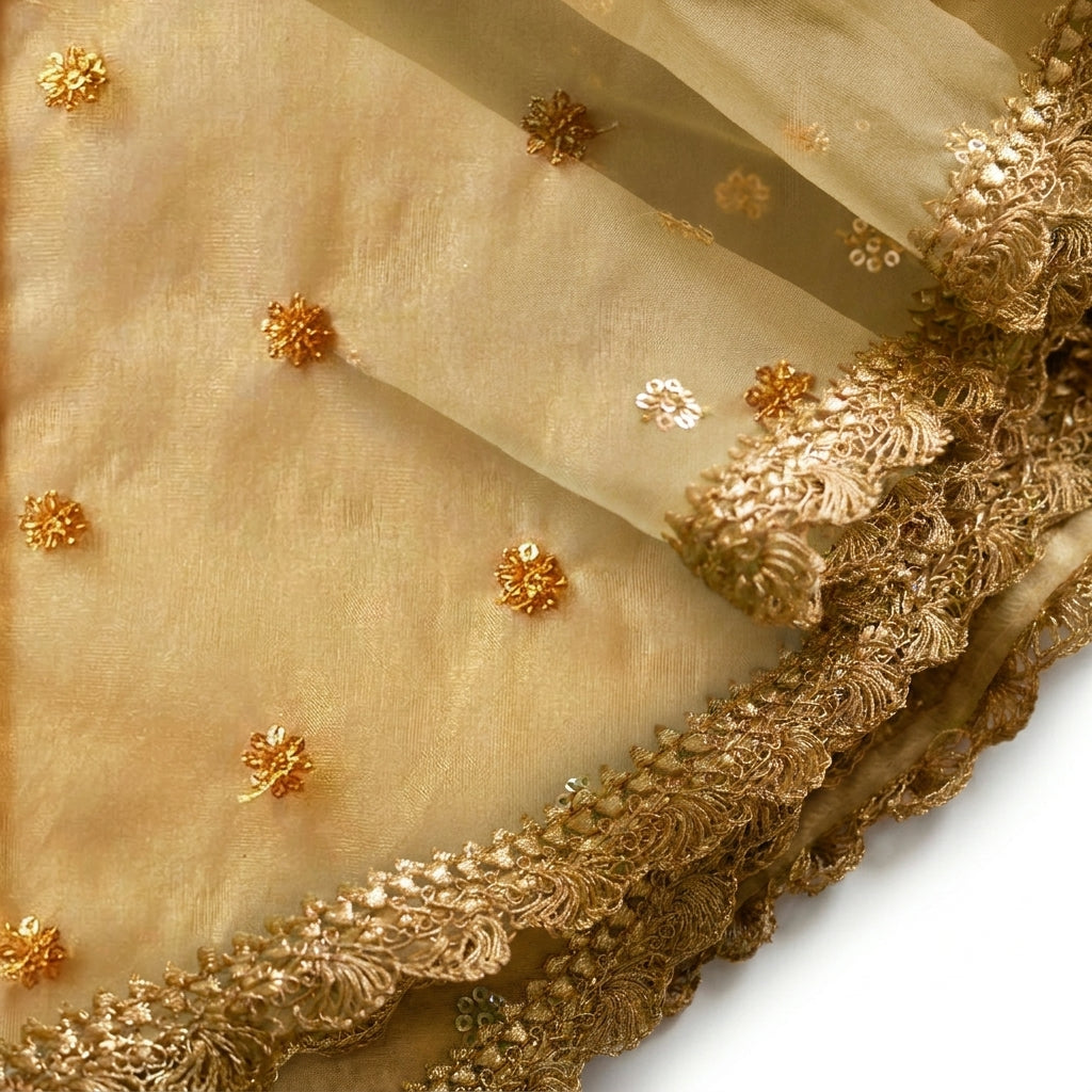 Gilheri x Tyohaar | Velvet Red & Gold Chandheri-Organza Ruffle Sleeve Lehenga Set